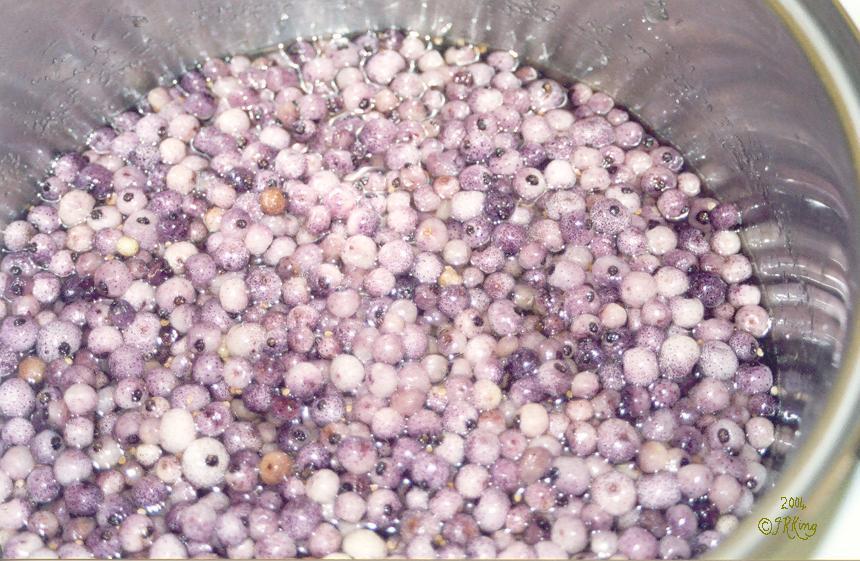   gentle   impact &nbs