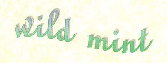   Aussi   wild   mint  