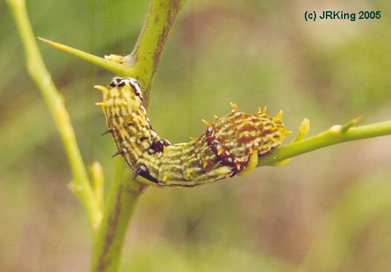   waiting   for   change  