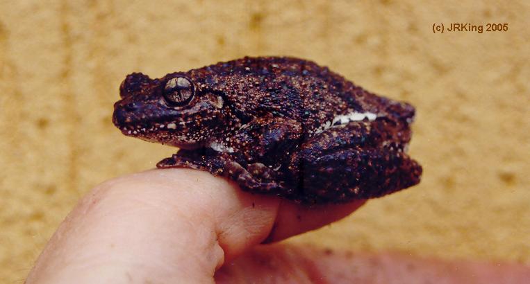   another   drink   please  